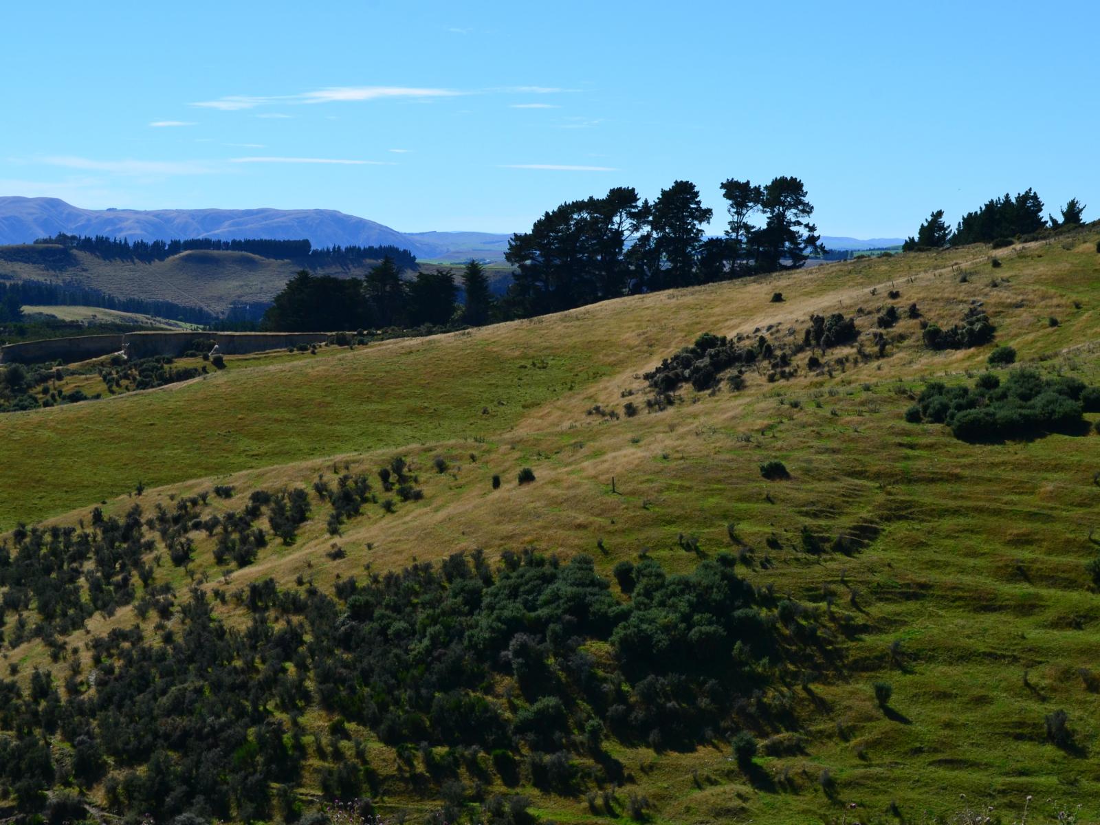 86 West-Maerewhenua Road, Oamaru