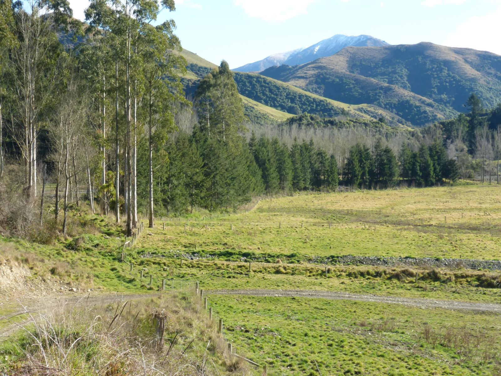 Lot 2, 1130 Te Moana Road, Geraldine