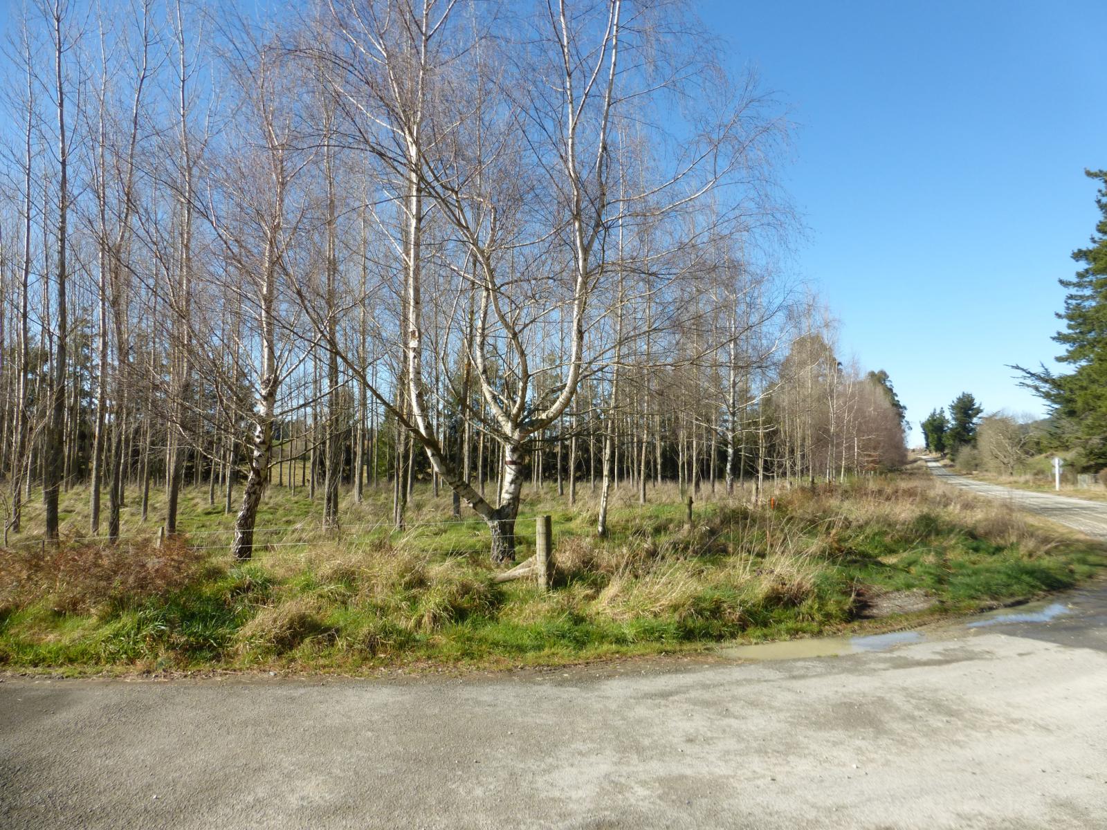 Lot 2, 1130 Te Moana Road, Geraldine