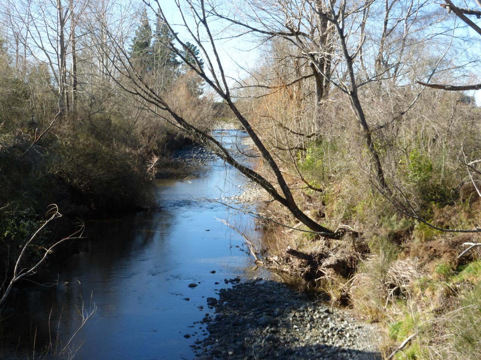 Lot 2, 1130 Te Moana Road, Geraldine