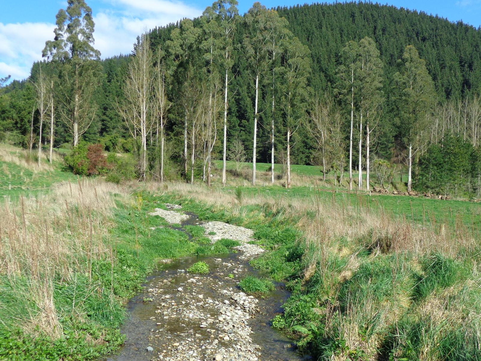 Lot 2, 1130 Te Moana Road, Geraldine