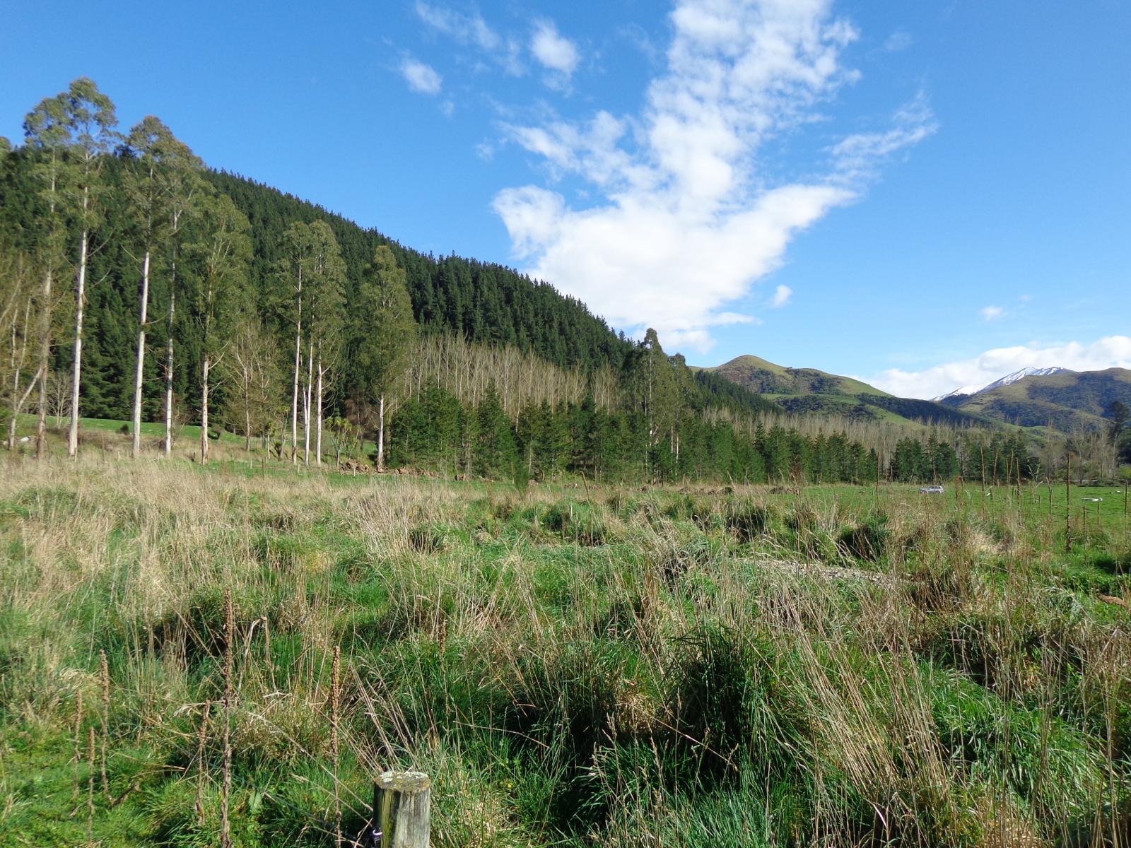 Lot 2, 1130 Te Moana Road, Geraldine