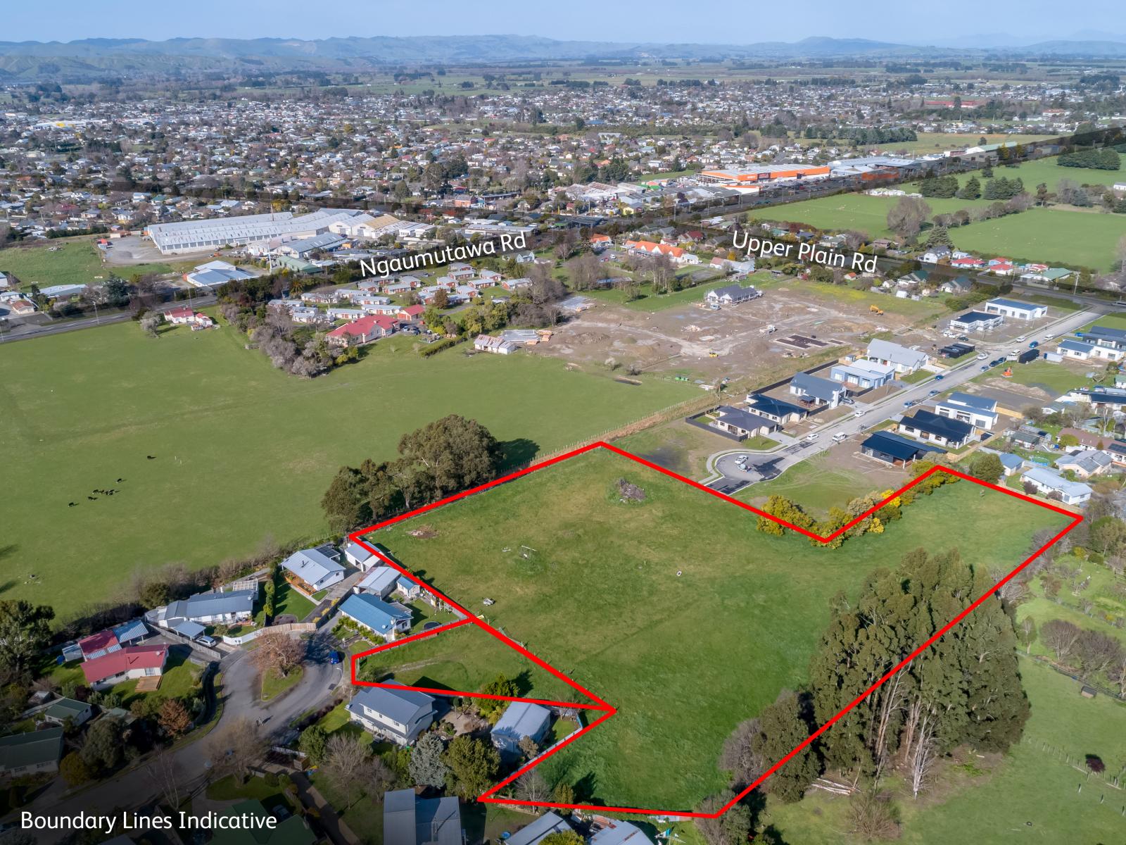 12 Seddon Street , Masterton