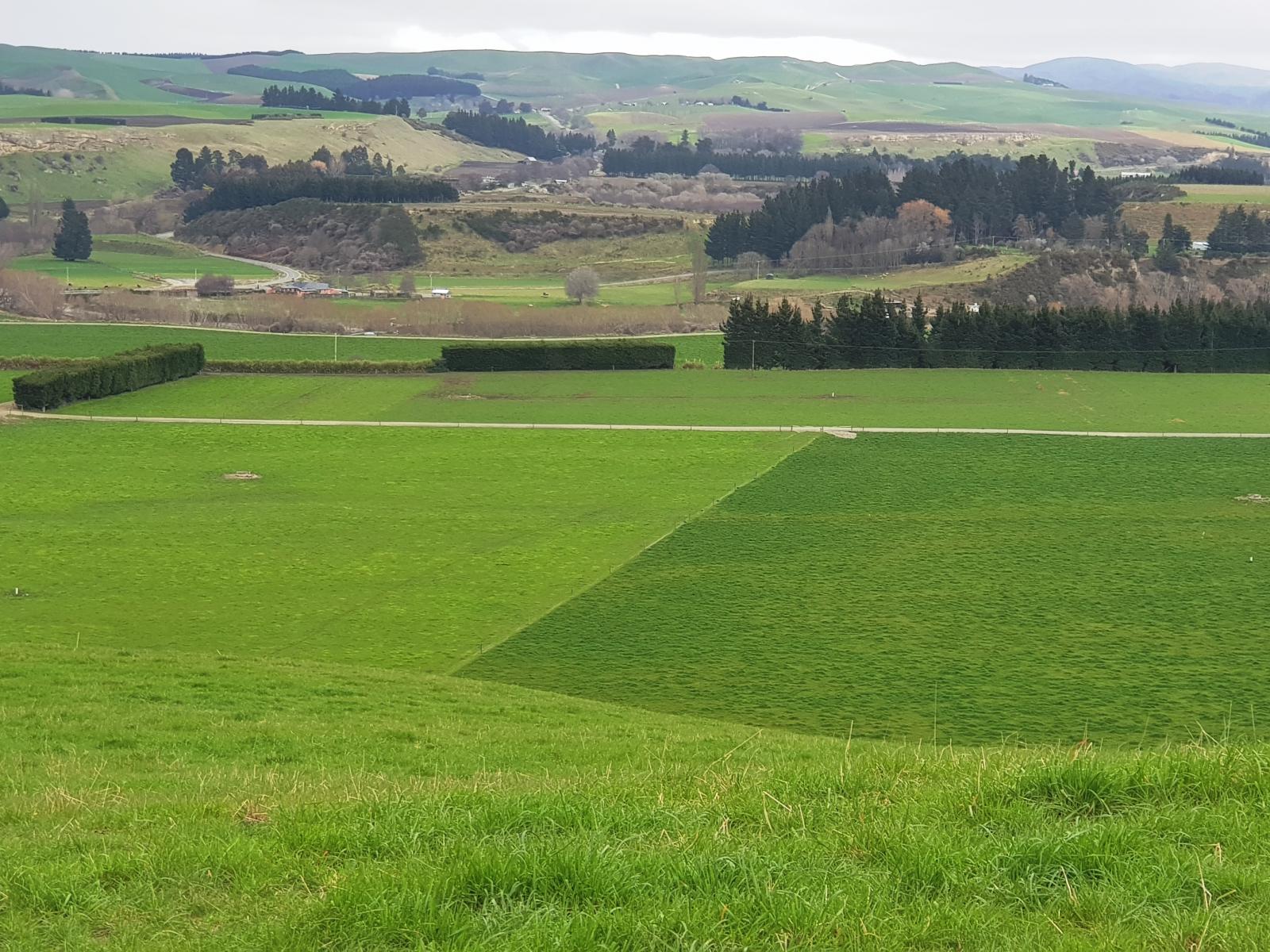 860 Hakataramea Highway, Waimate