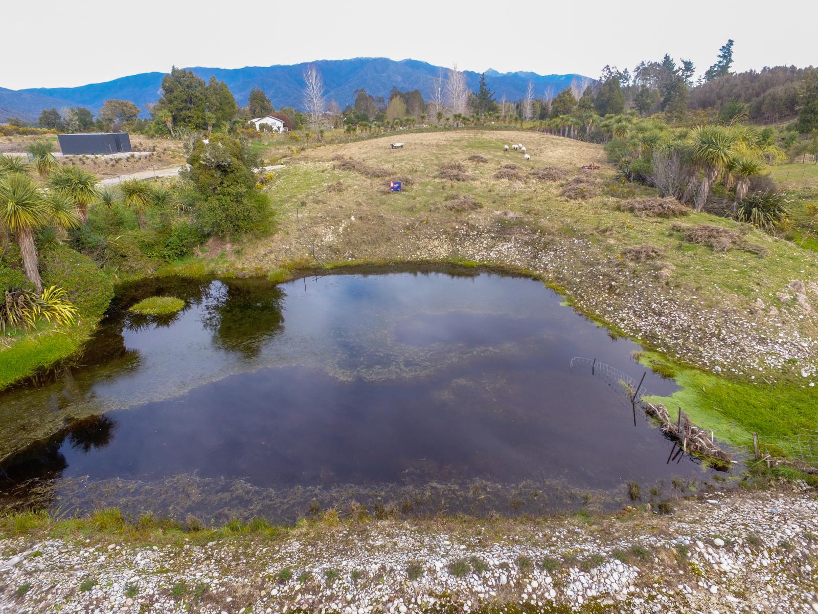 7/127 Buller Road, Westport