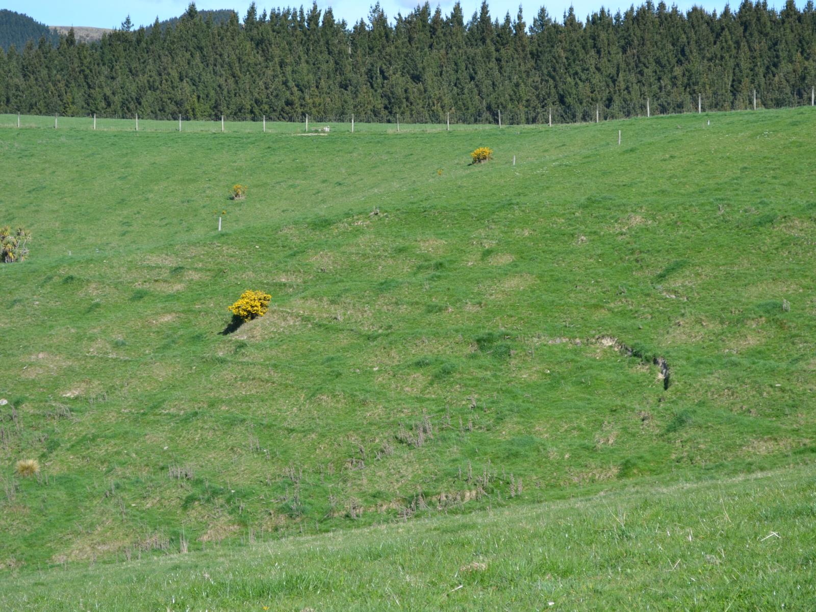 665 Dunrobin Road, Five Forks