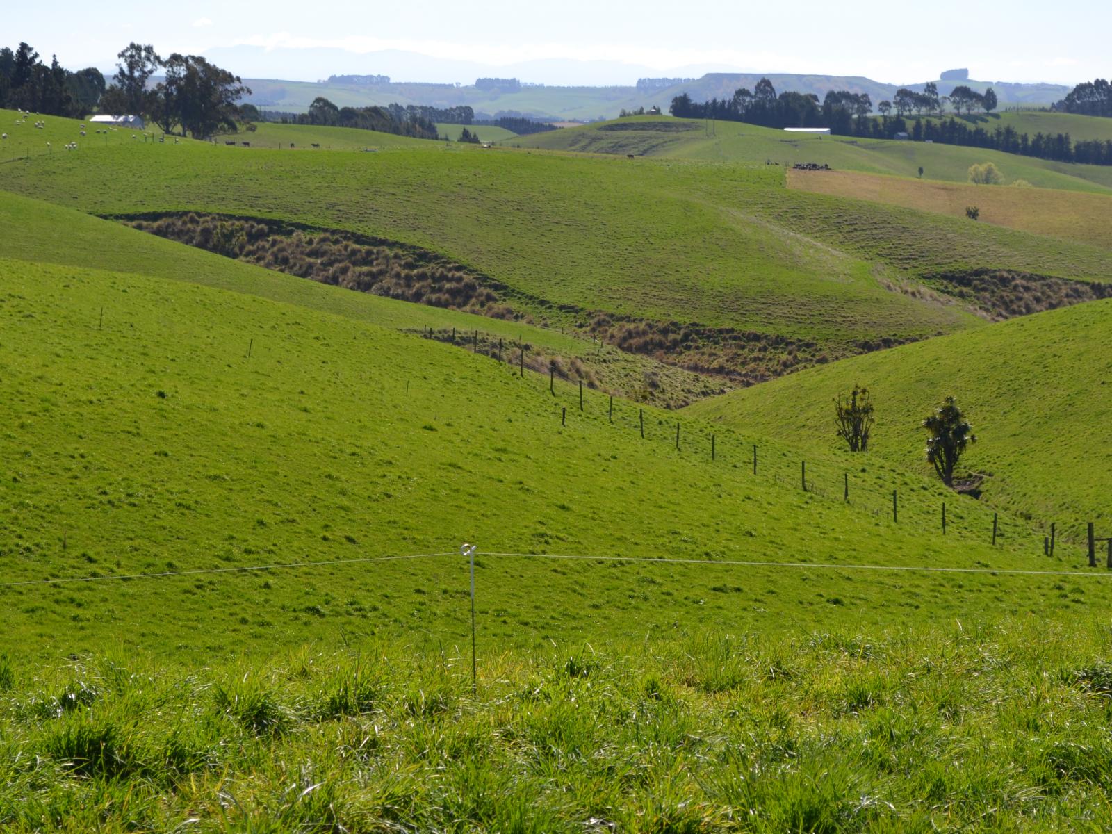 665 Dunrobin Road, Five Forks