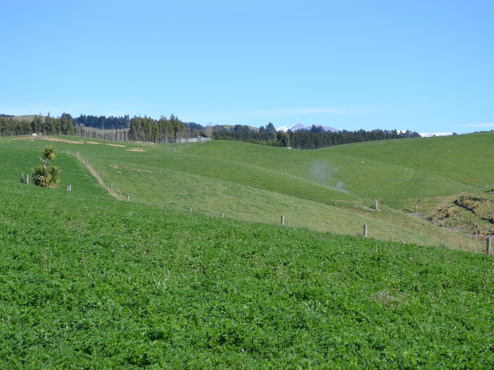 665 Dunrobin Road, Five Forks