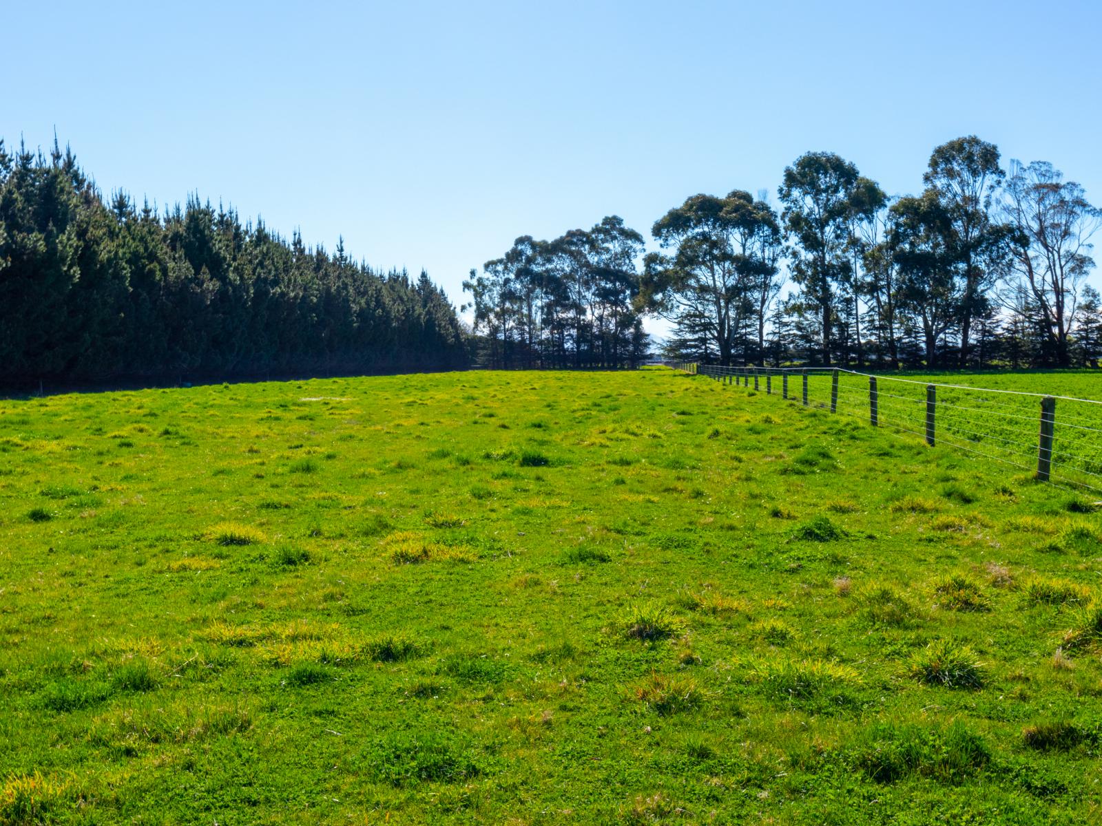 179 Mitcham Road, Ashburton
