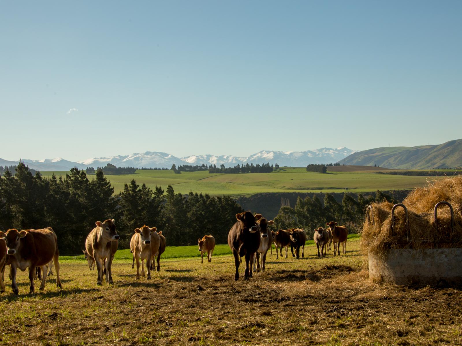 171 Monavale Road, Albury
