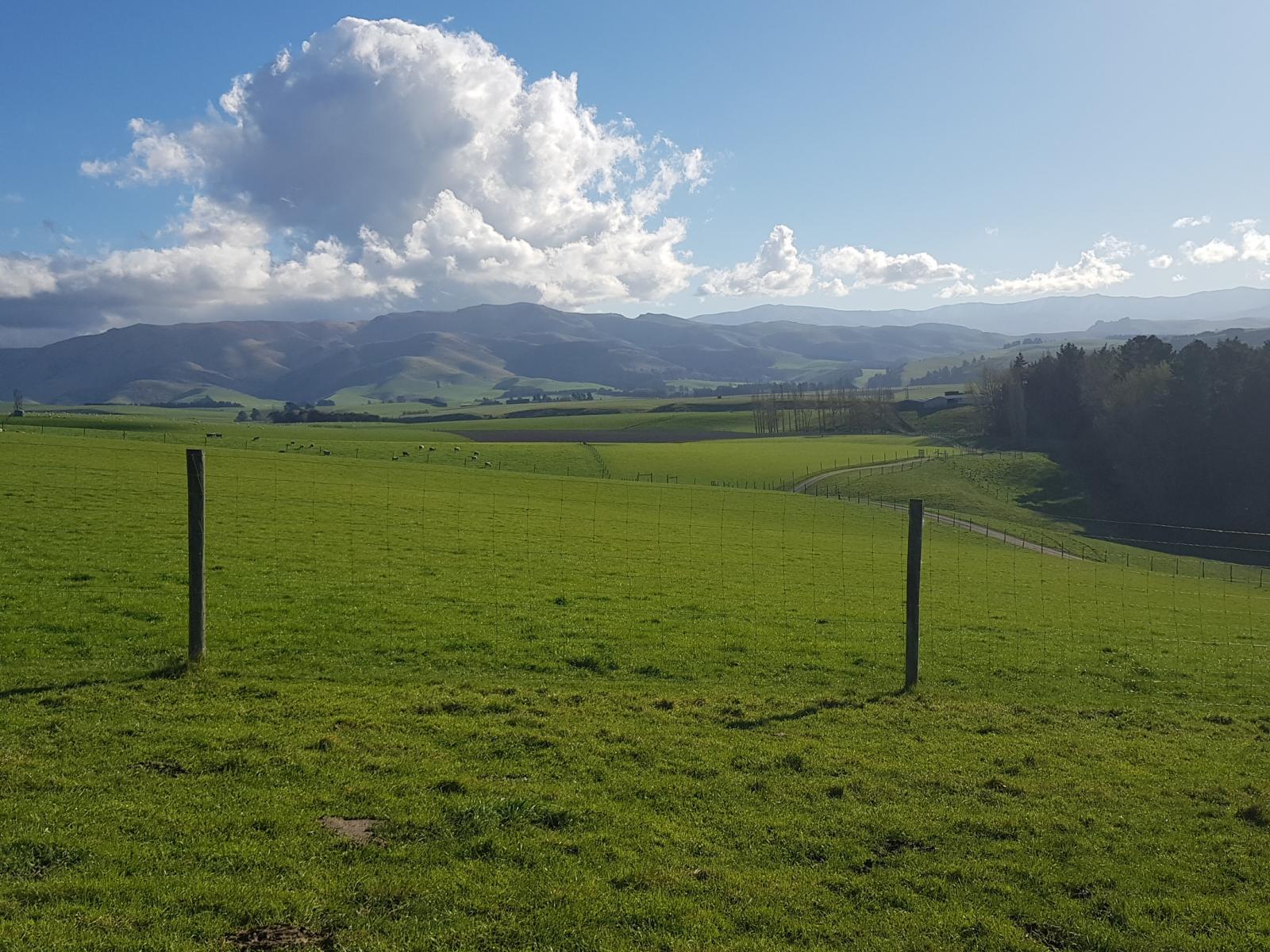 91 Nelsons Road, Albury