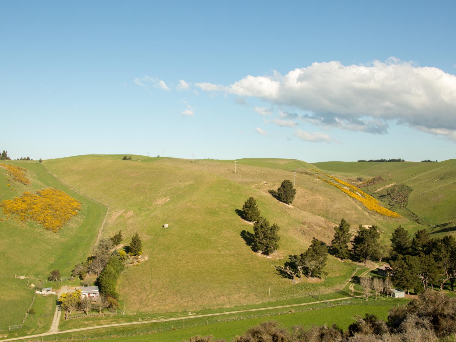 91 Nelsons Road, Albury