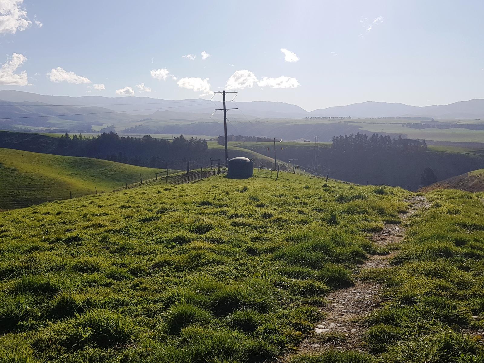 91 Nelsons Road, Albury