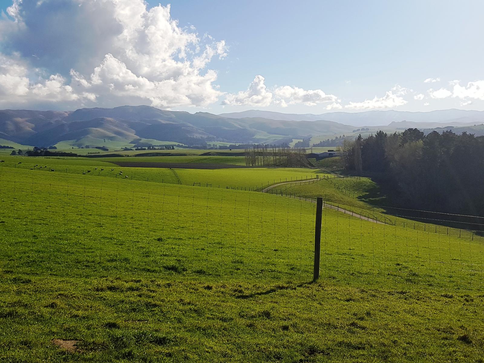 91 Nelsons Road, Albury