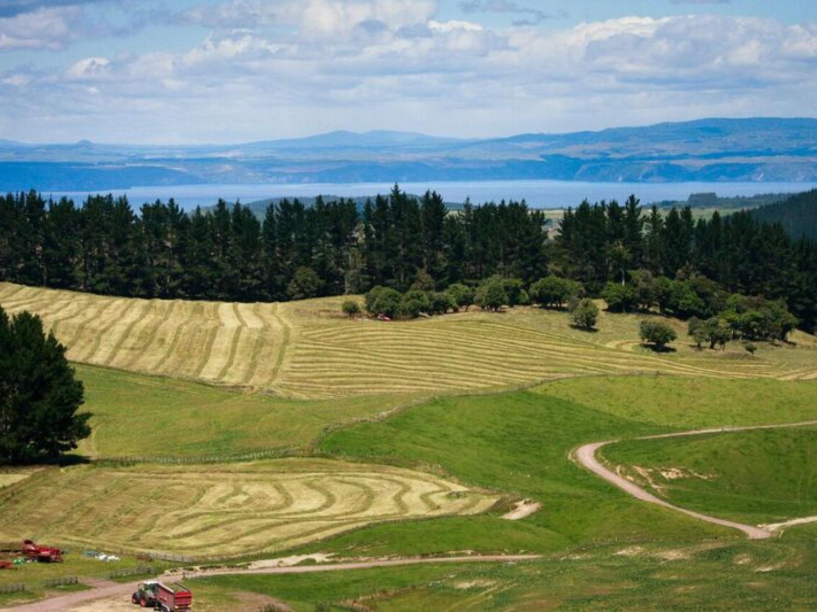 1549 Poihipi Road, Oruanui