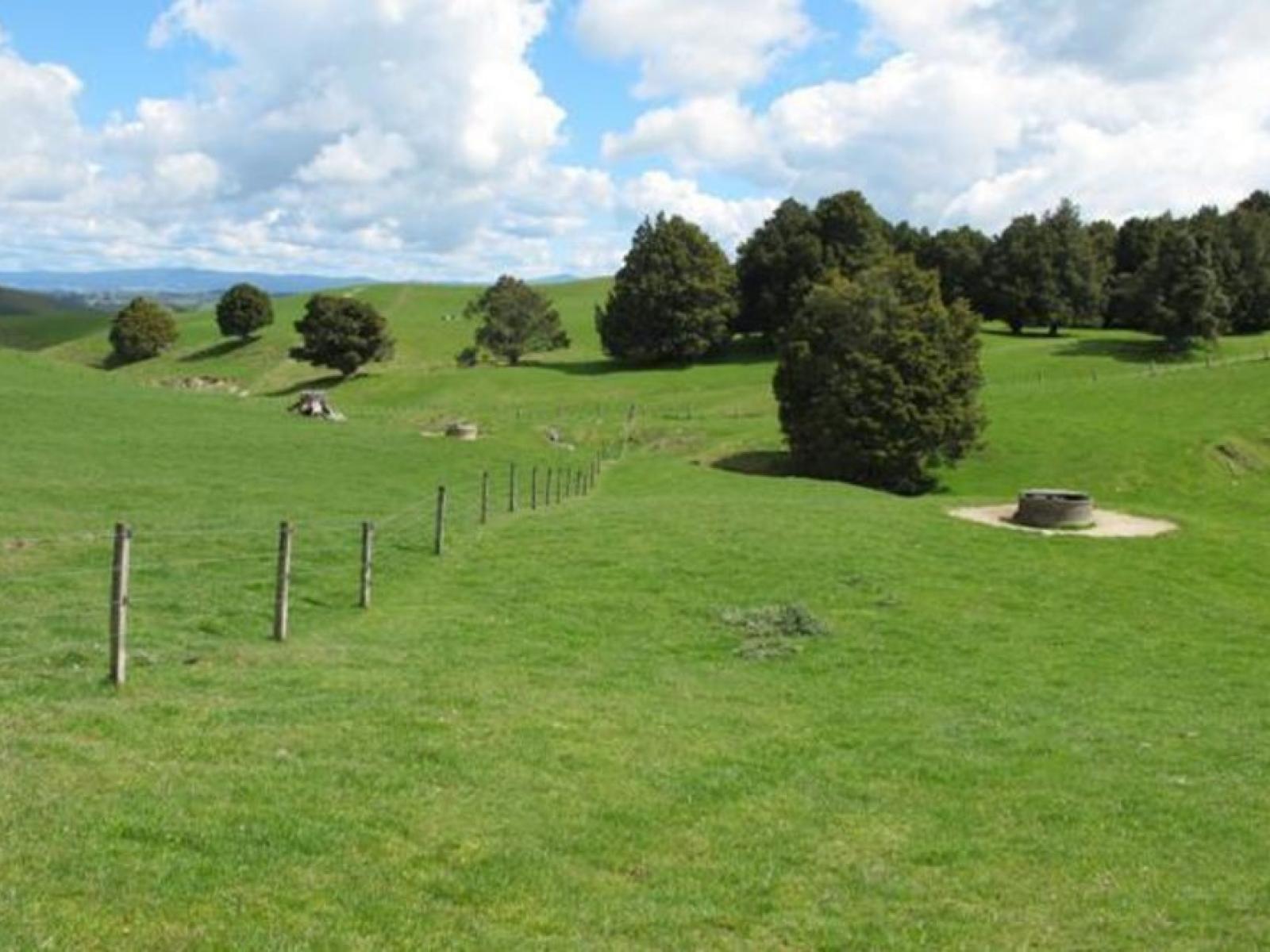 1549 Poihipi Road, Oruanui