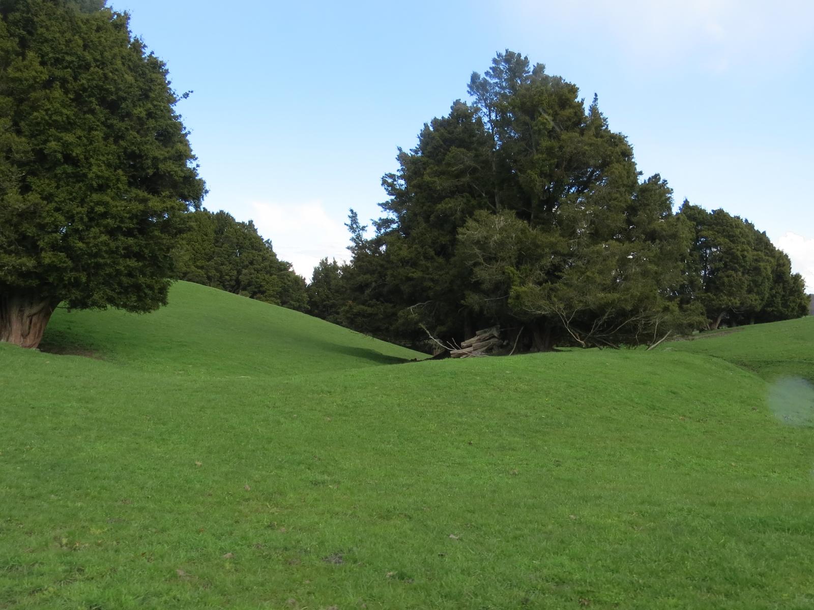 1549 Poihipi Road, Oruanui