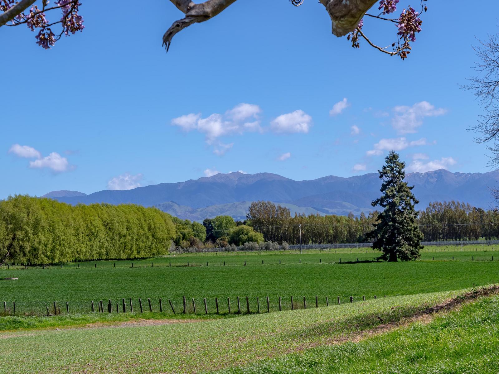 2, Te Whiti Road, Masterton