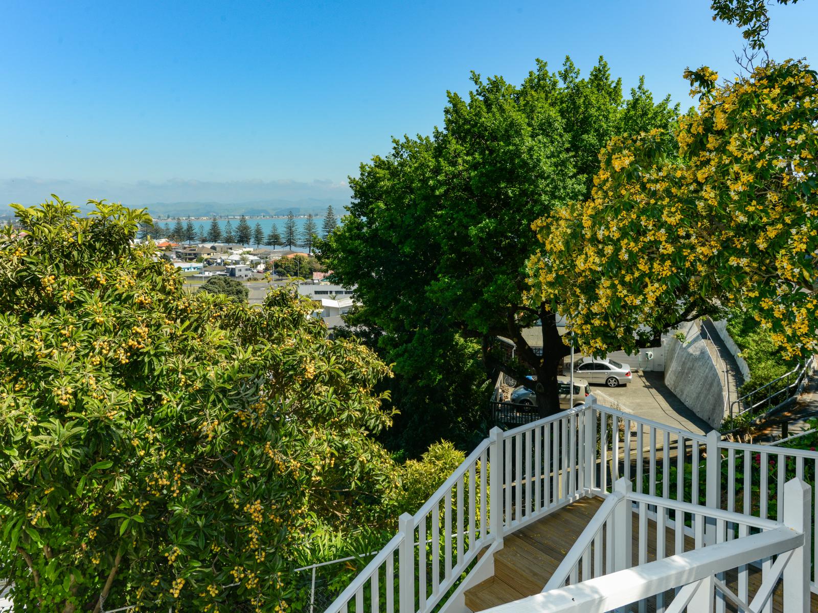 5 Kowhai Road, Bluff Hill