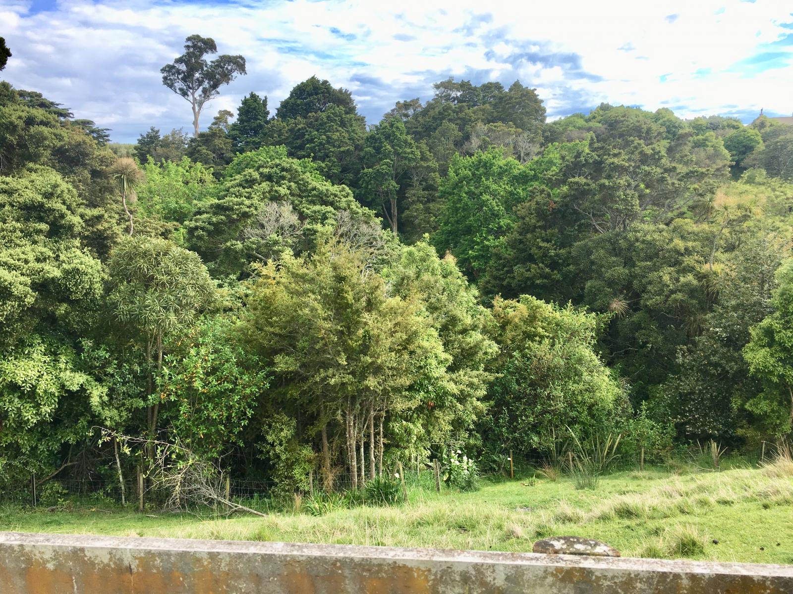 6 Carnmore Court, Feilding