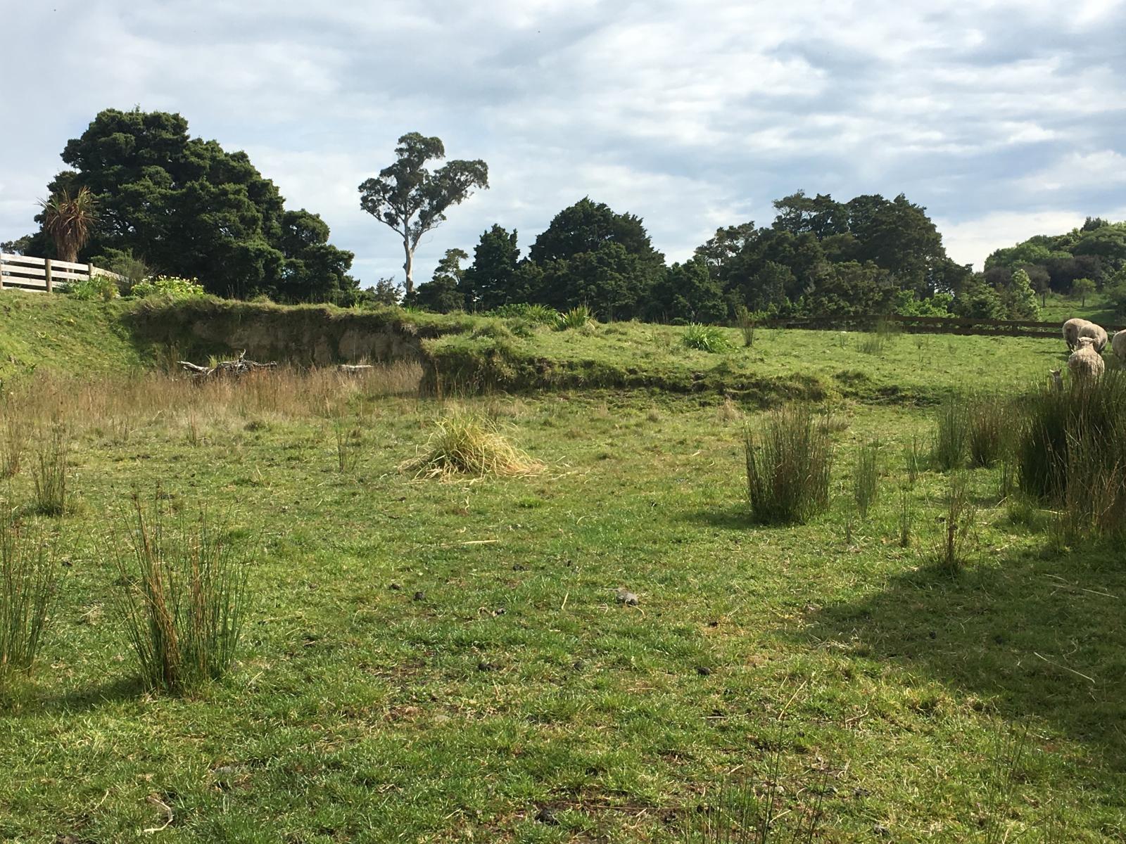 6 Carnmore Court, Feilding