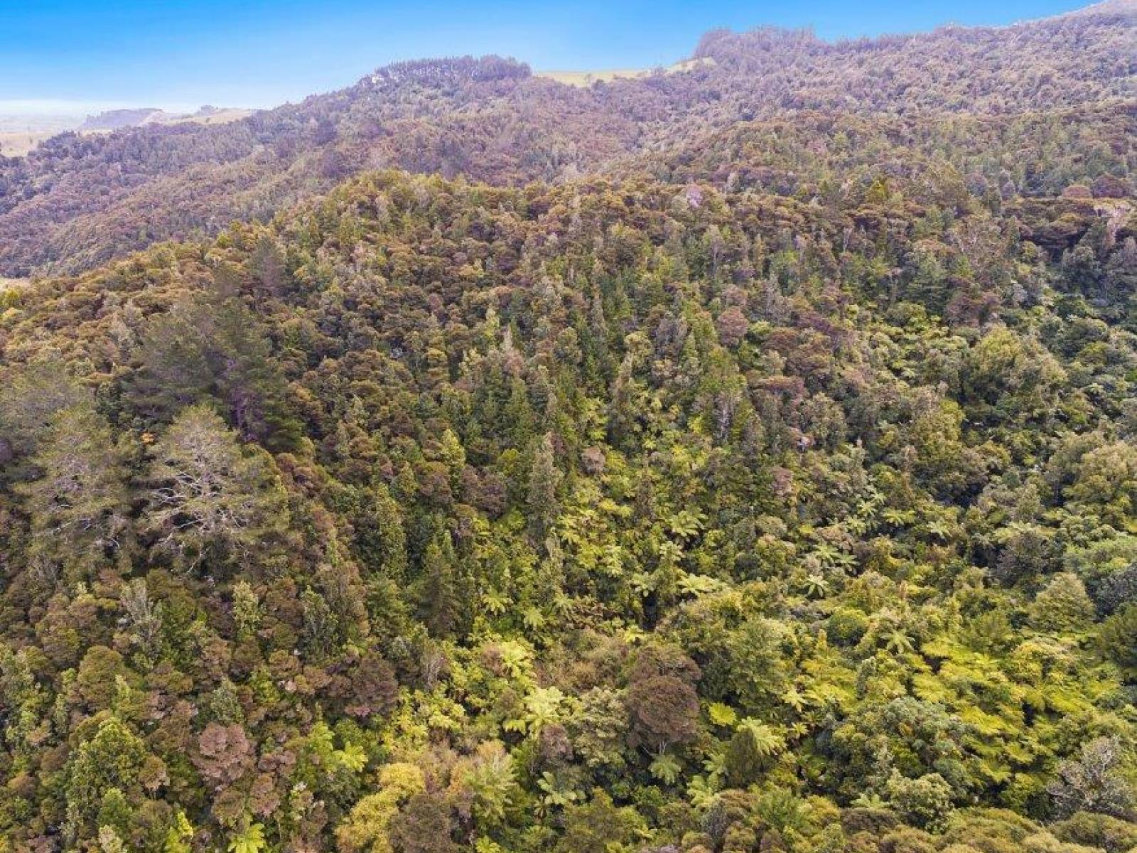 509A Old Maratoto Road, Hikutaia