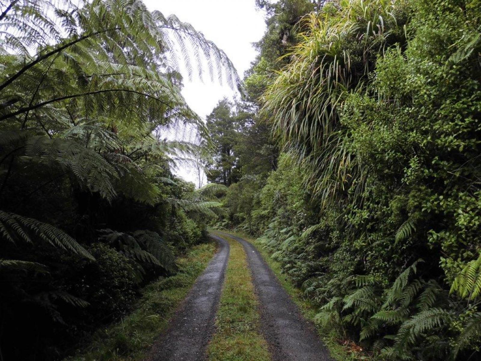 509A Old Maratoto Road, Hikutaia