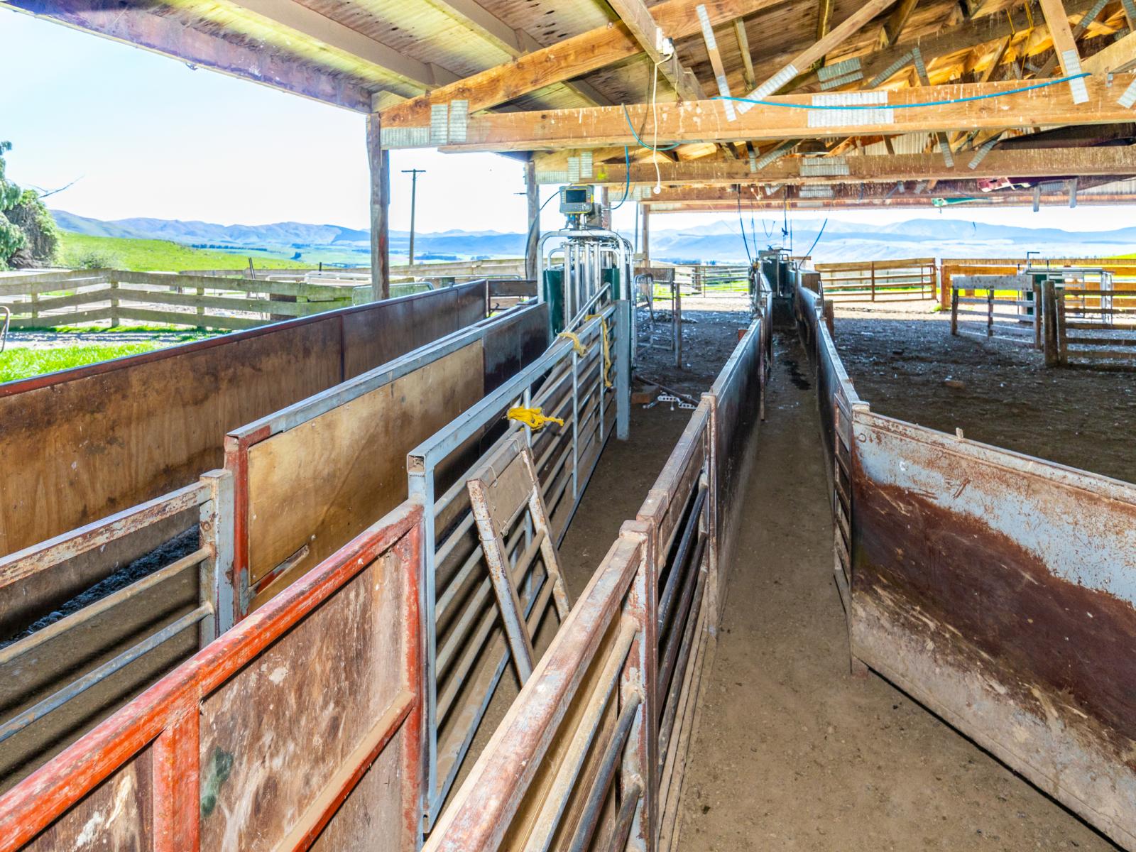 958 Waihaorunga Back Road, Waimate