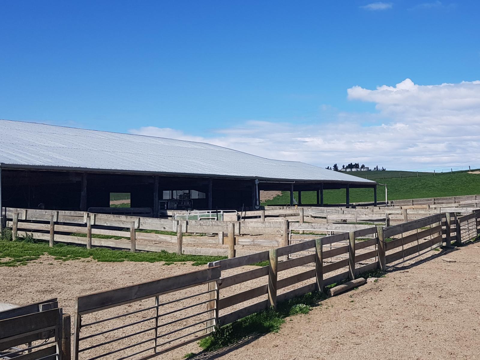 958 Waihaorunga Back Road, Waimate