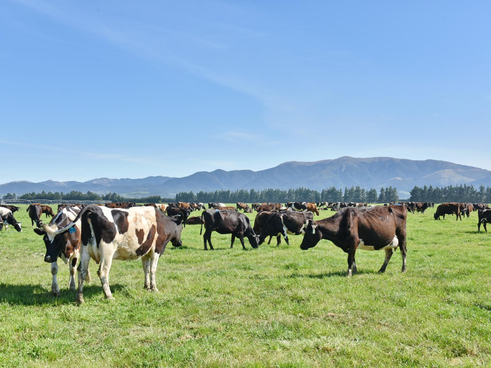 346 Parish Road, Oxford