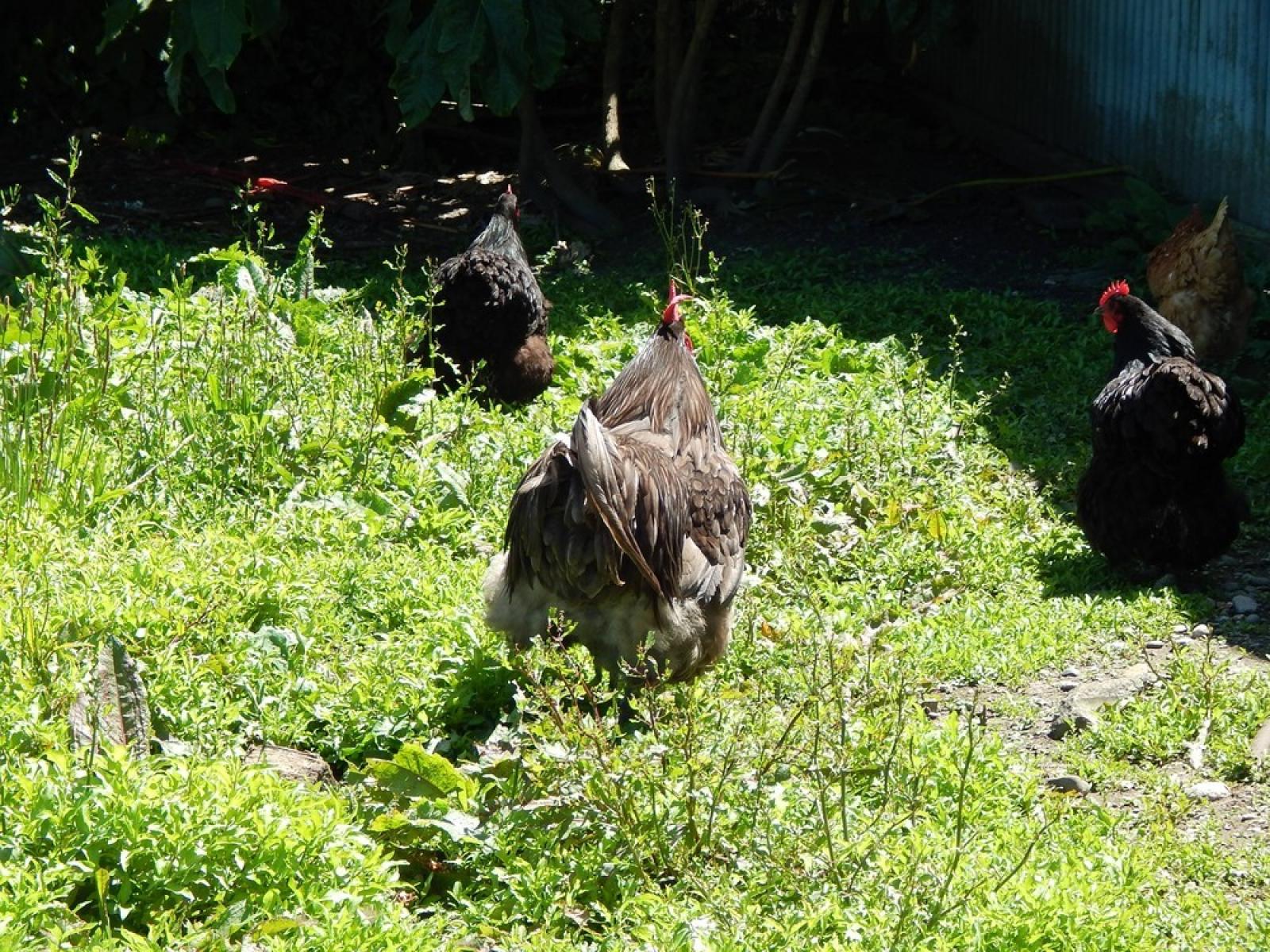 185 Queen Street, Westport