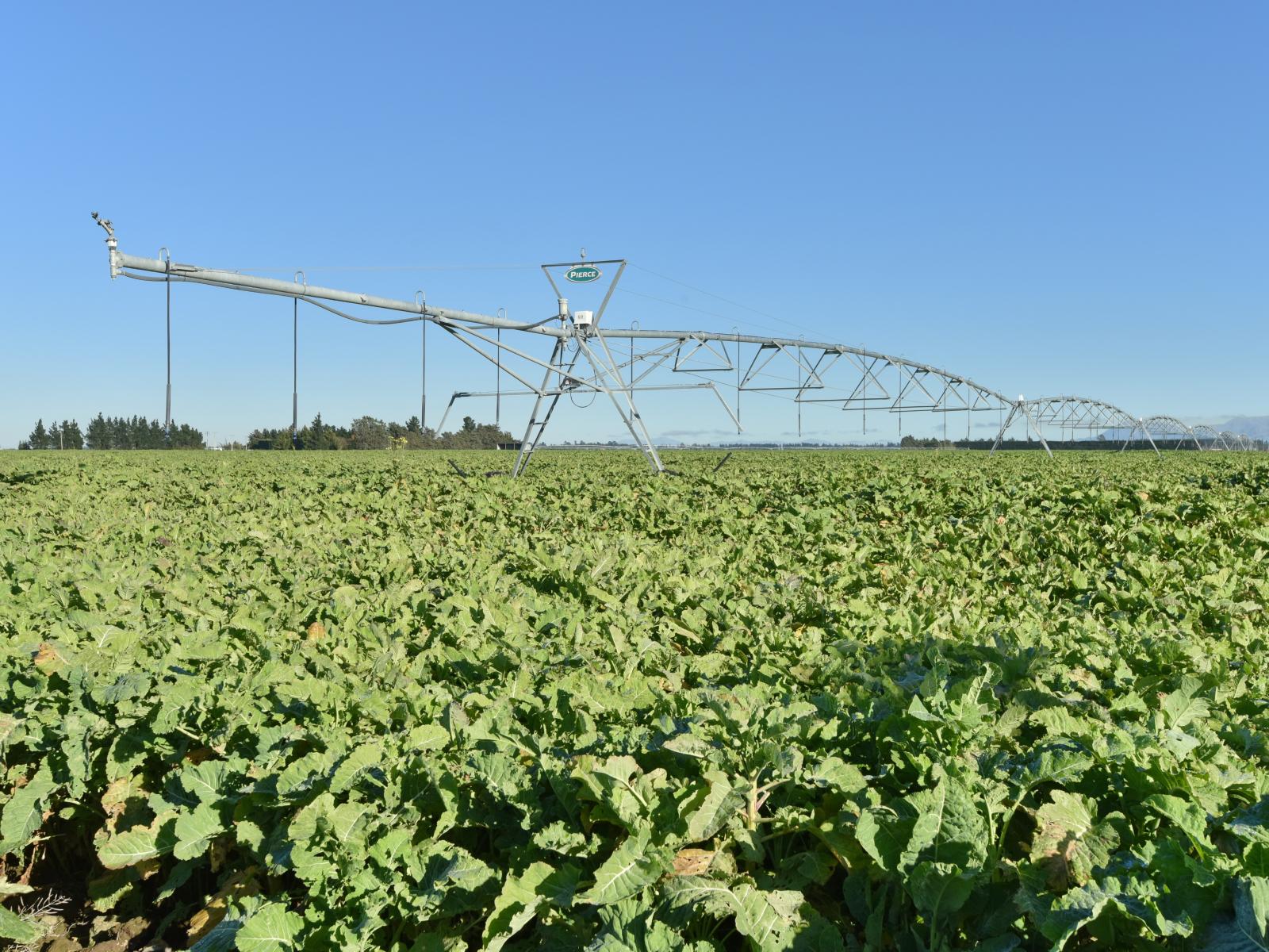 Hartnells Road, Hororata