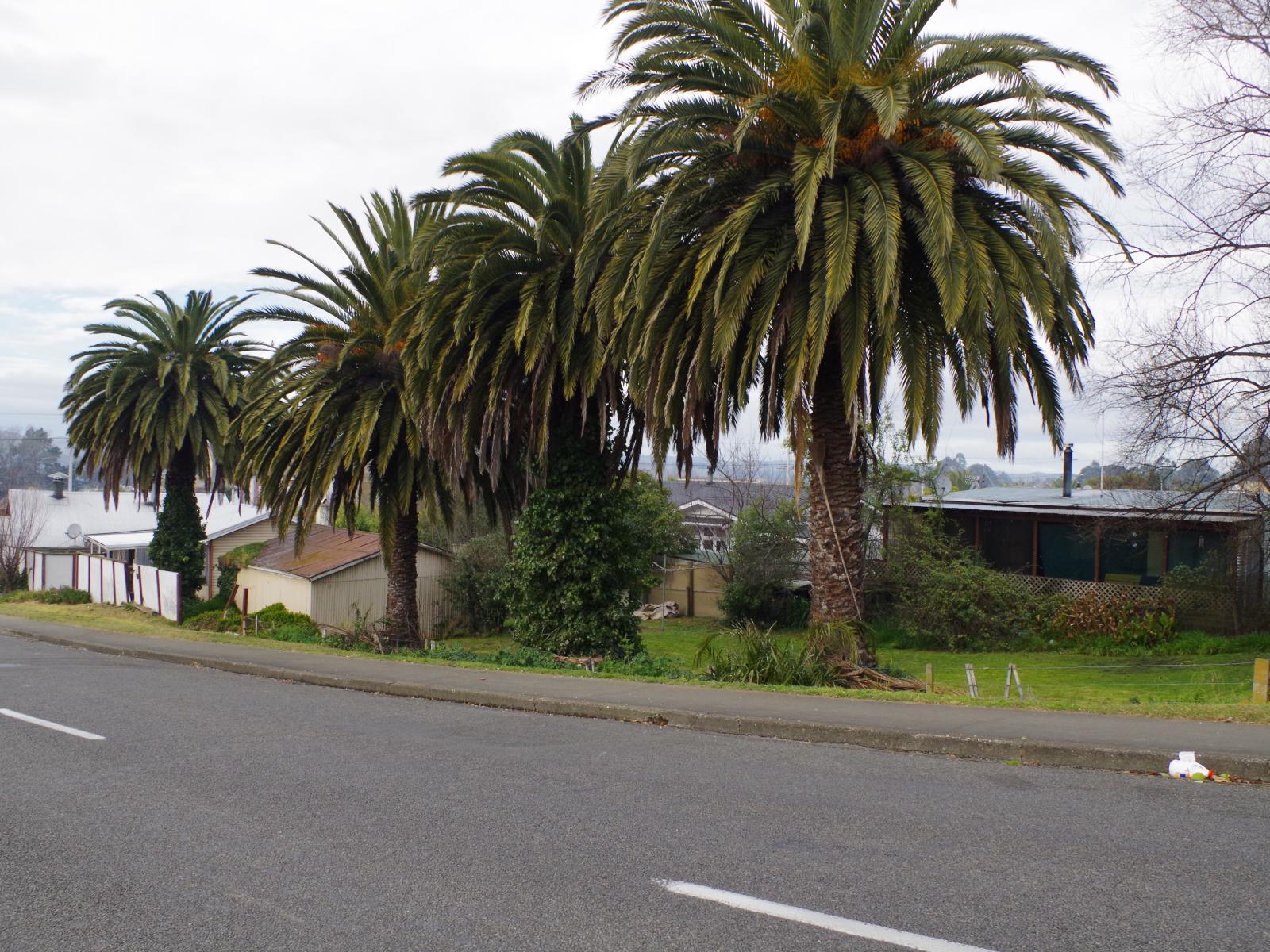 84 Porangahau Road, Waipukurau