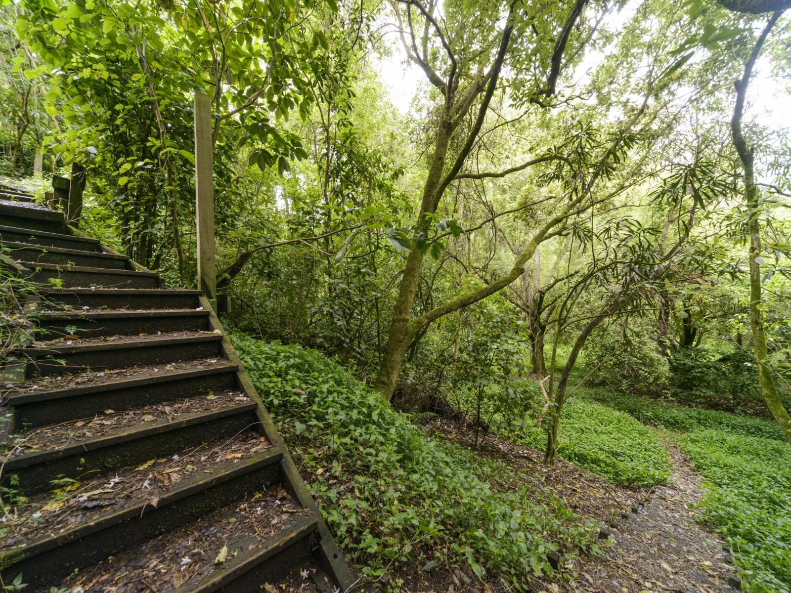 393 Aokautere Drive, Aokautere