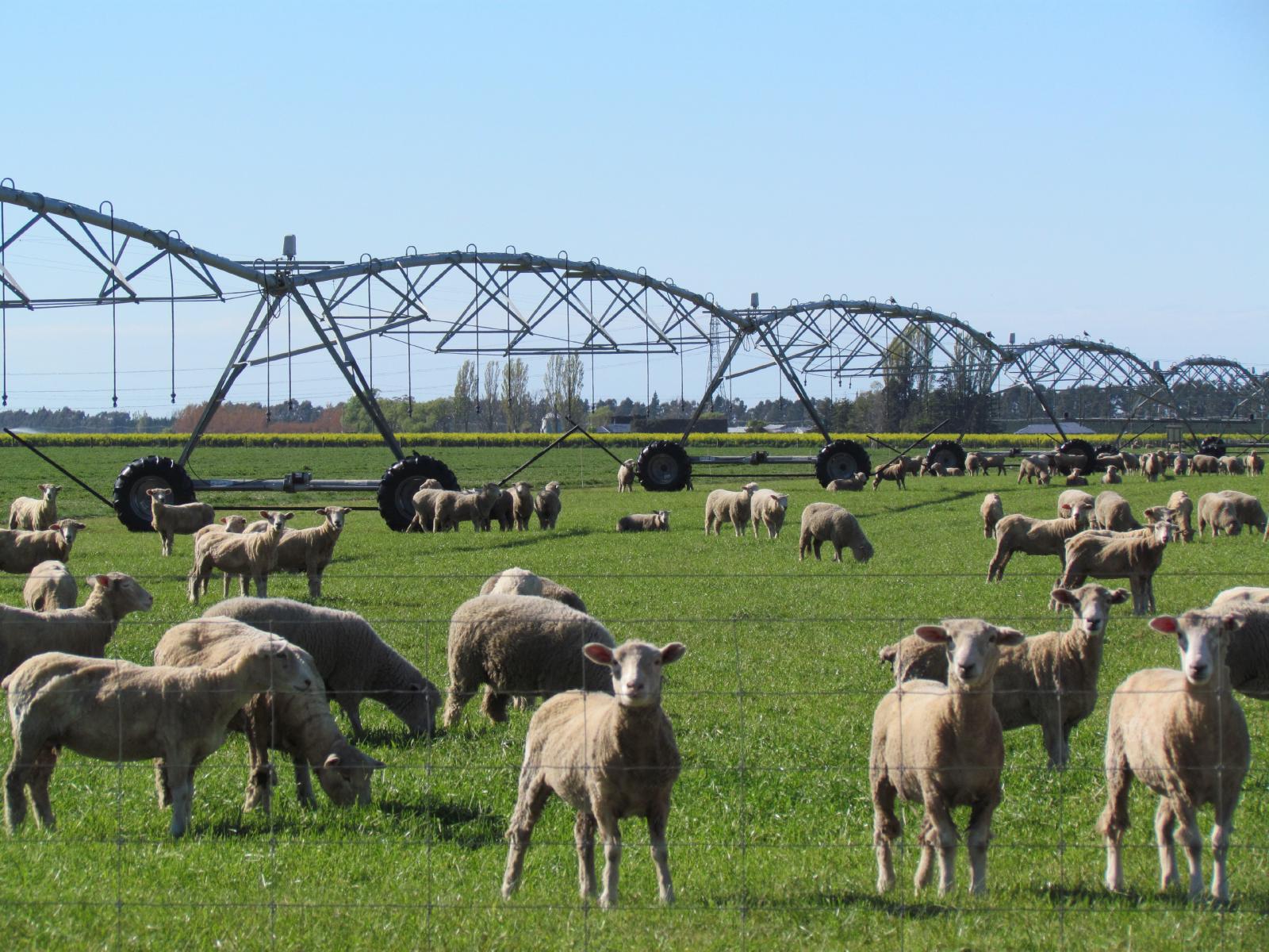 362 Fairfield Road, Ashburton