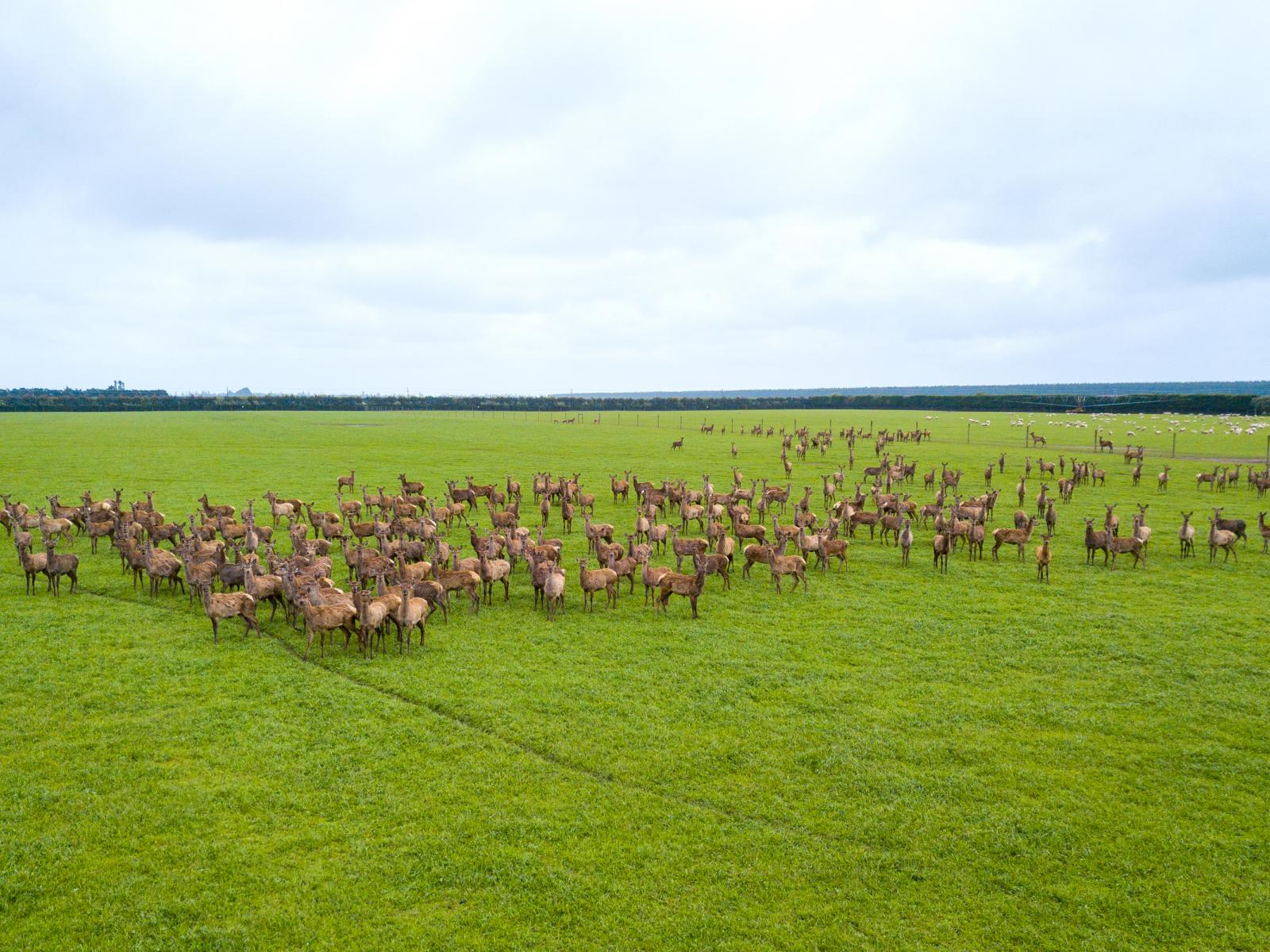 362 Fairfield Road, Ashburton