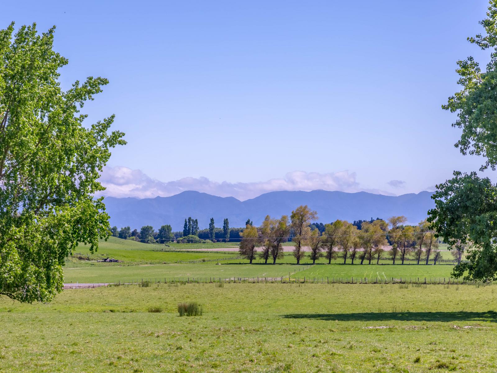 1075 Lake Ferry Road, Martinborough