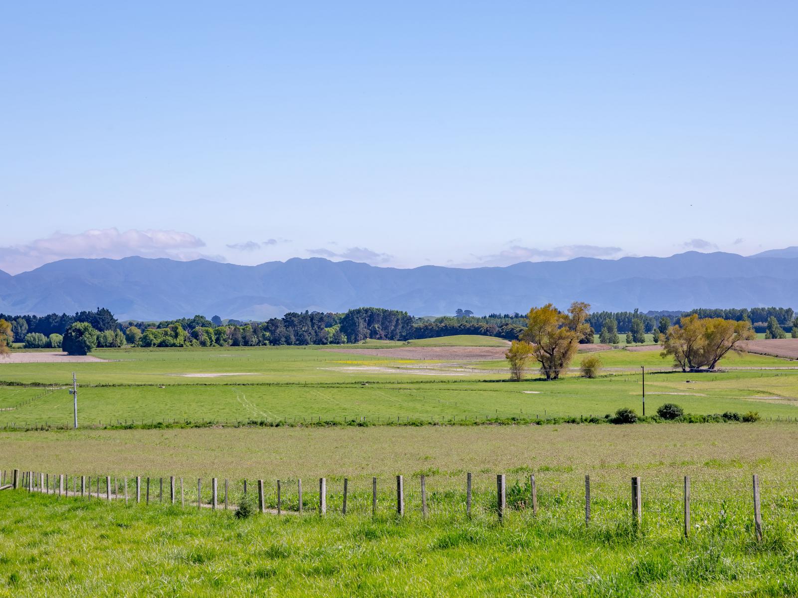 1075 Lake Ferry Road, Martinborough