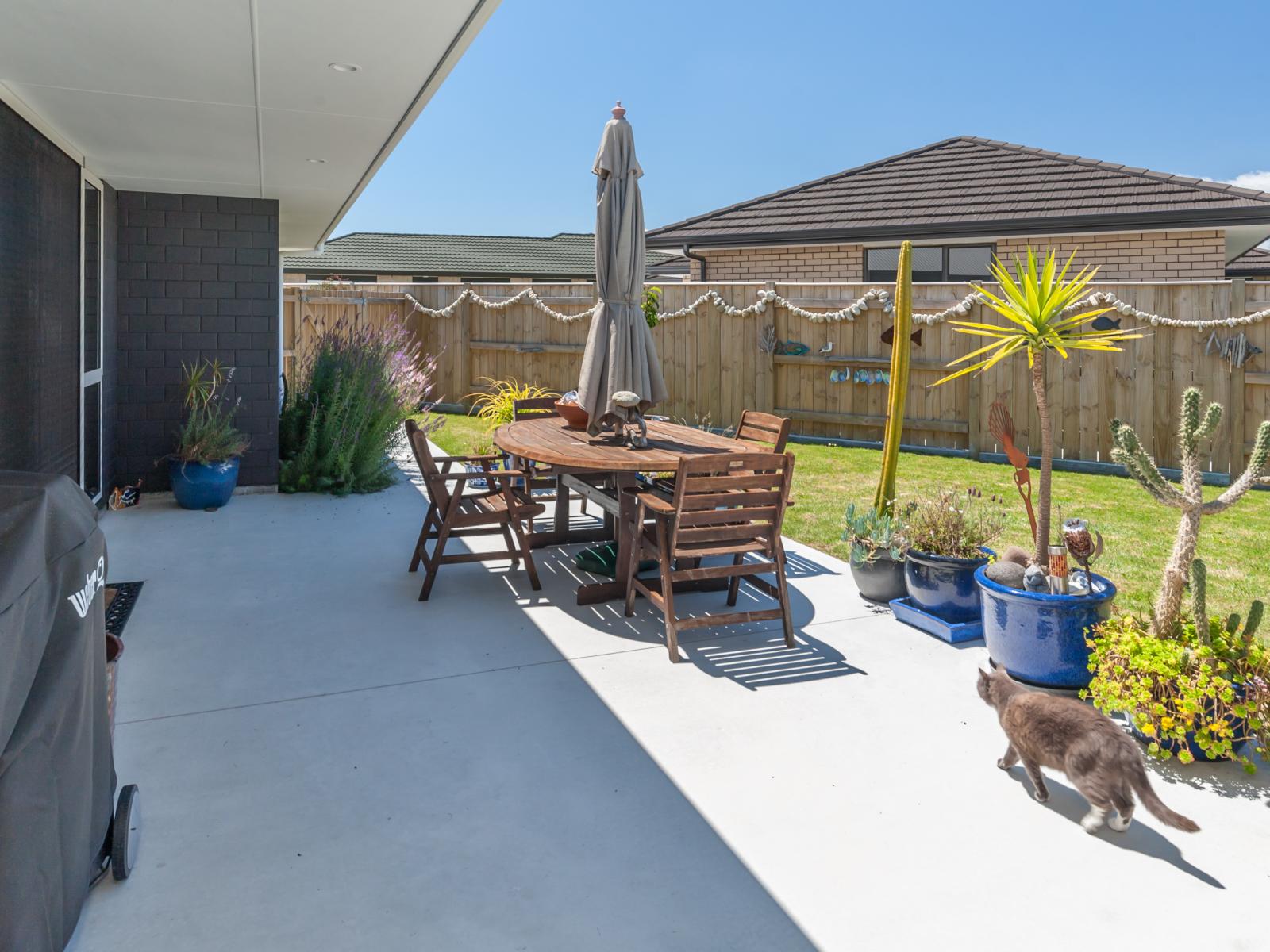 9 Godwit Court, Foxton Beach