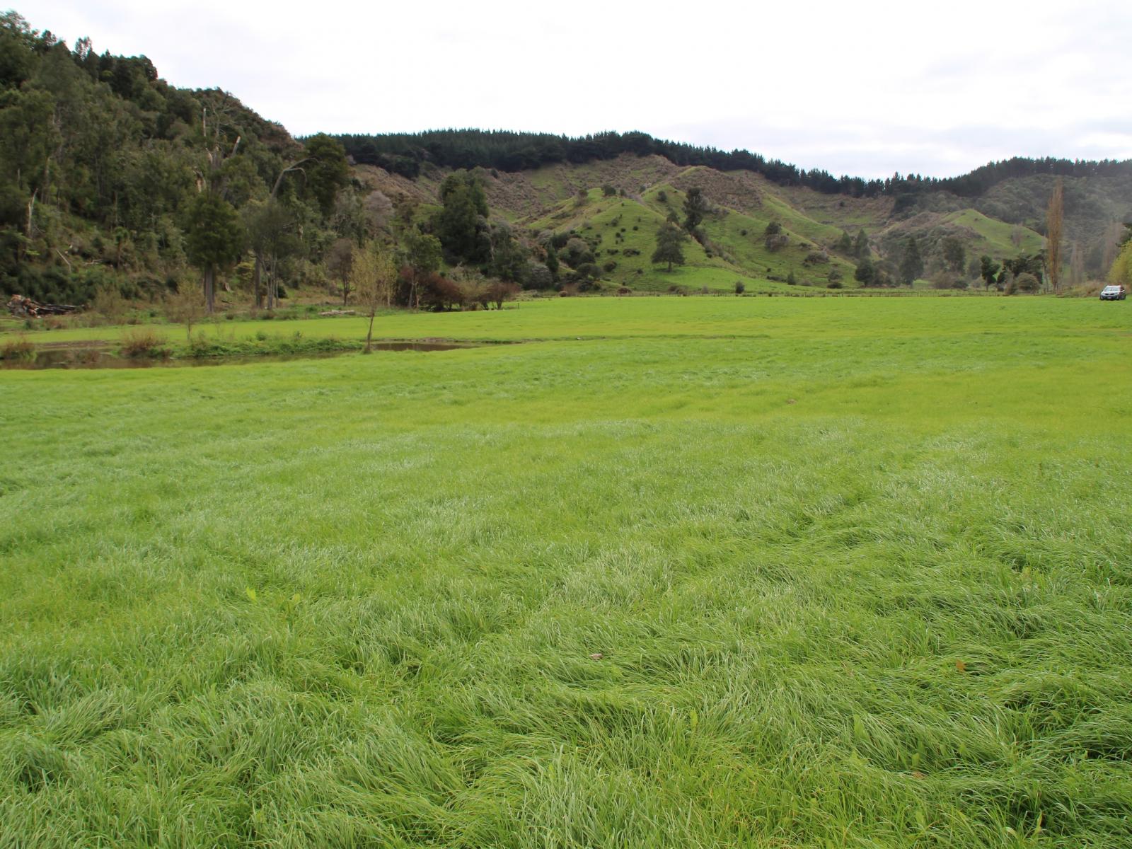 185 Kaukatea Valley Road, Okoia