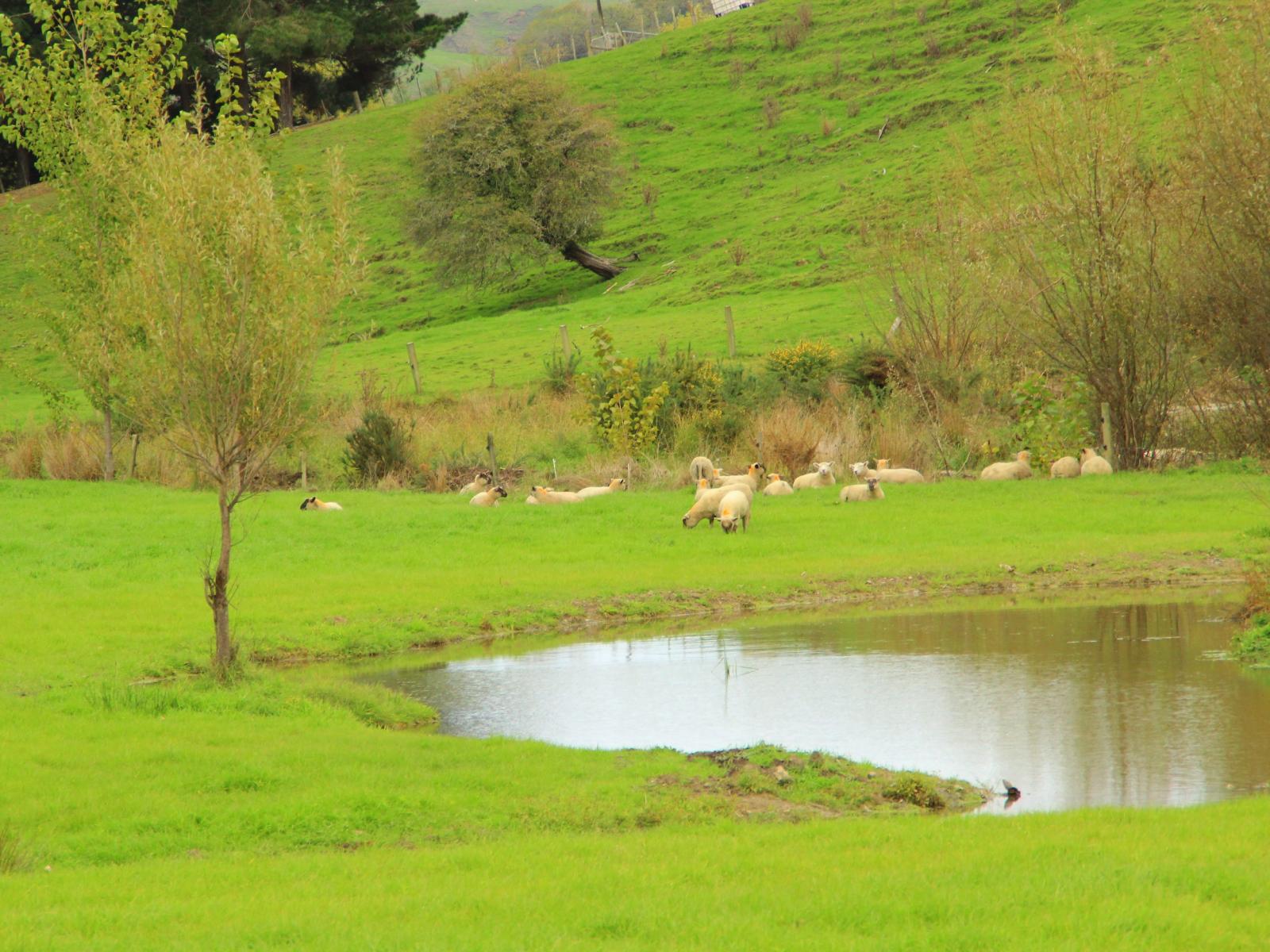 185 Kaukatea Valley Road, Okoia