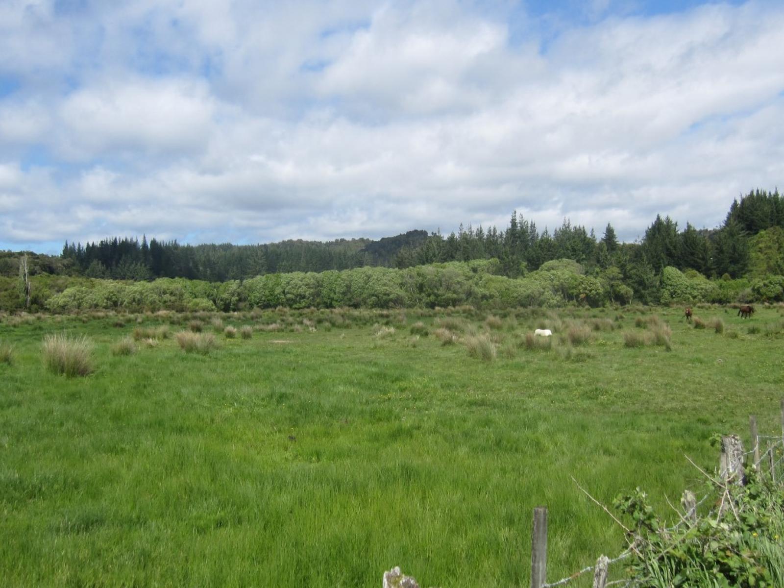 18 Maori CreekRoad, Marsden