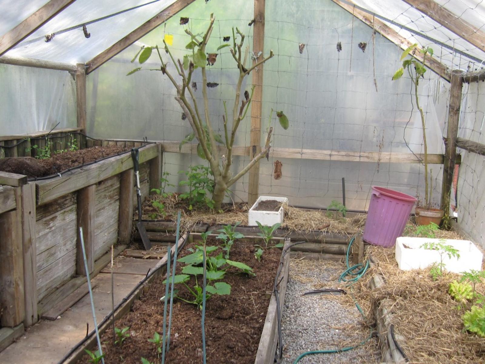 18 Maori CreekRoad, Marsden