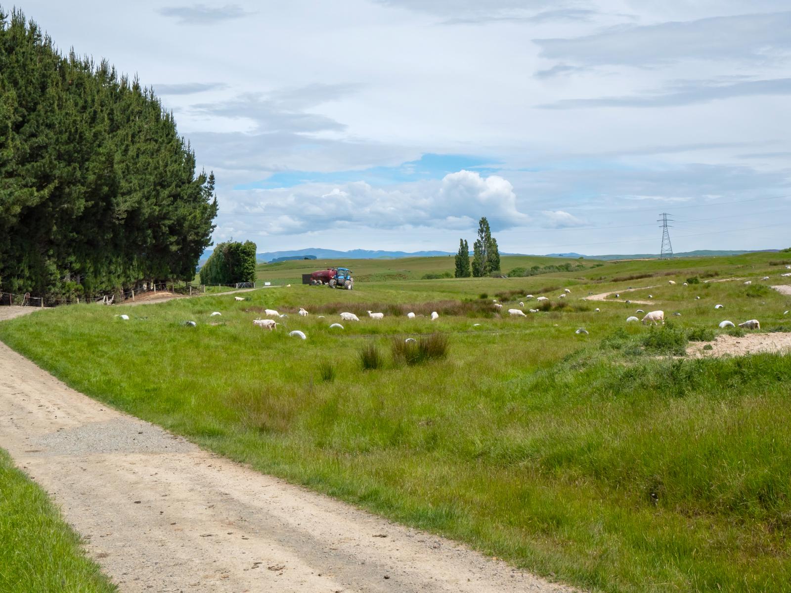 85 Chisholm Road, Pleasant Point