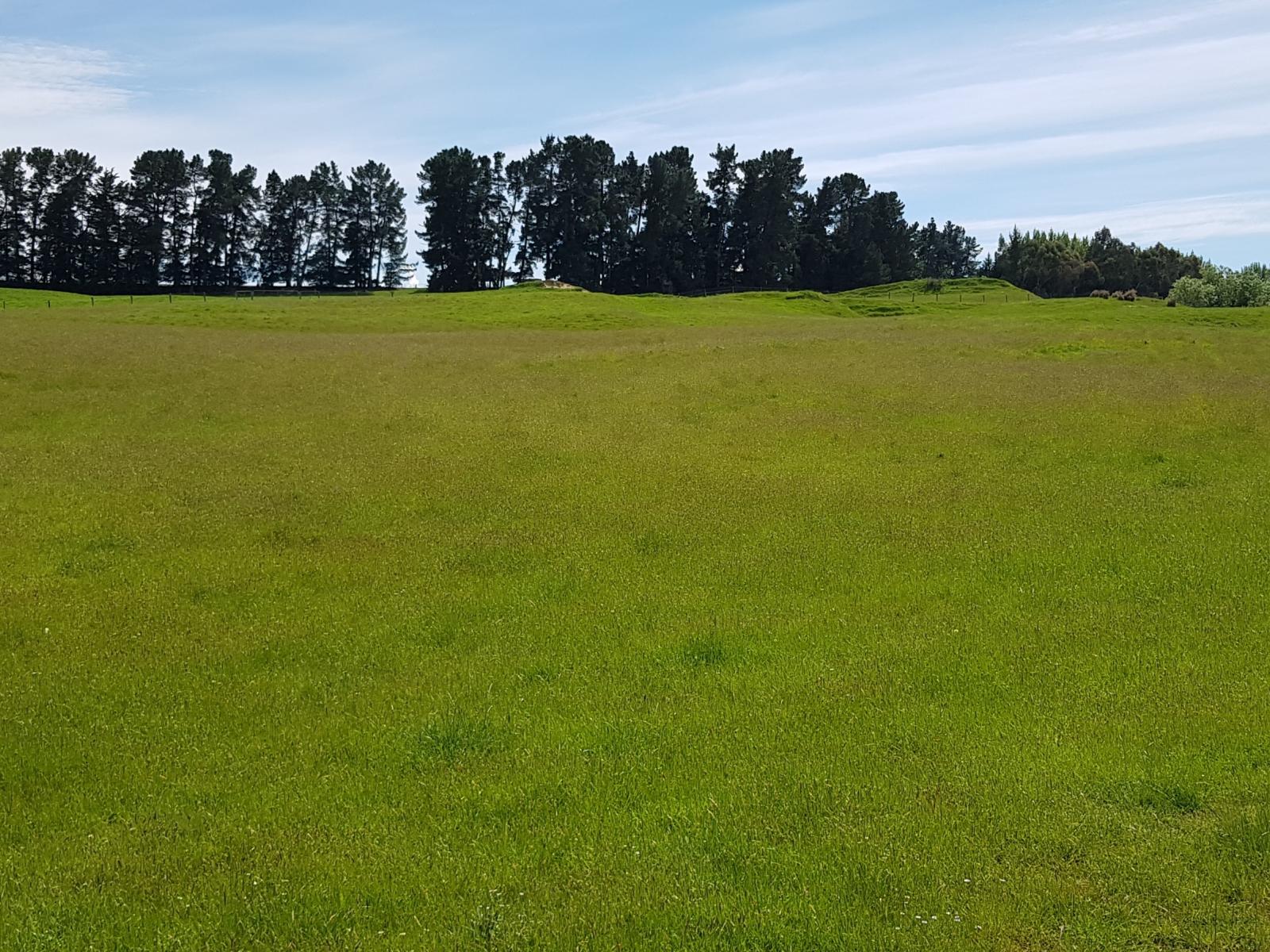 85 Chisholm Road, Pleasant Point