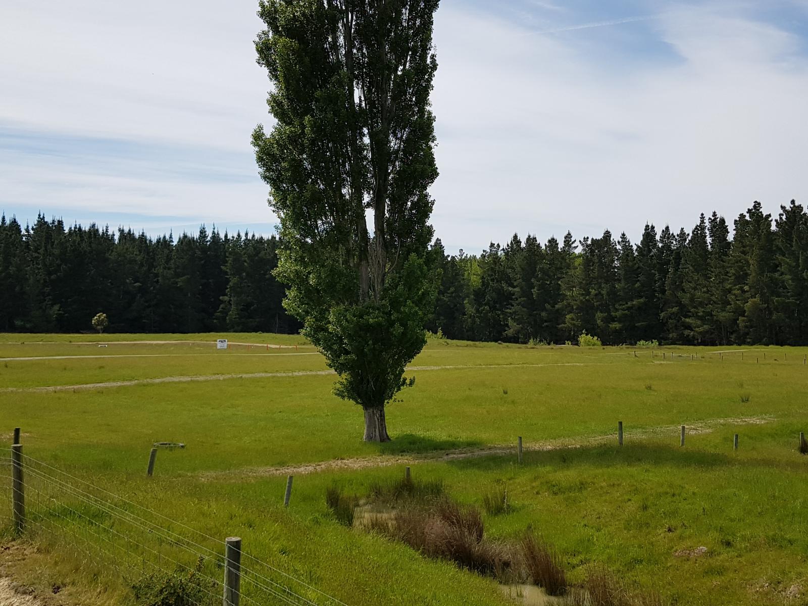 85 Chisholm Road, Pleasant Point