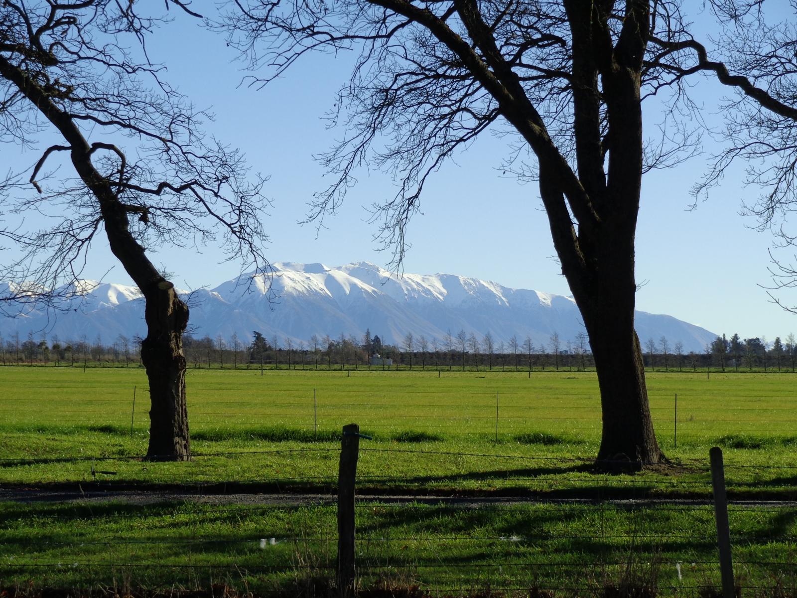Lot 6 Oak Avenue, Rakaia