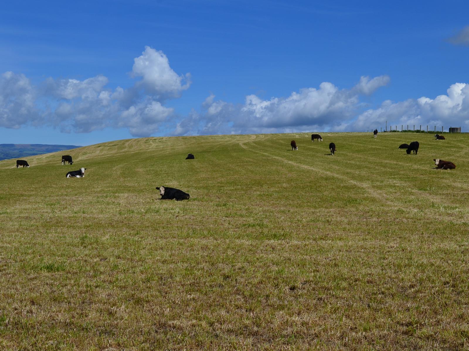 21 Fortification Road, Kakanui