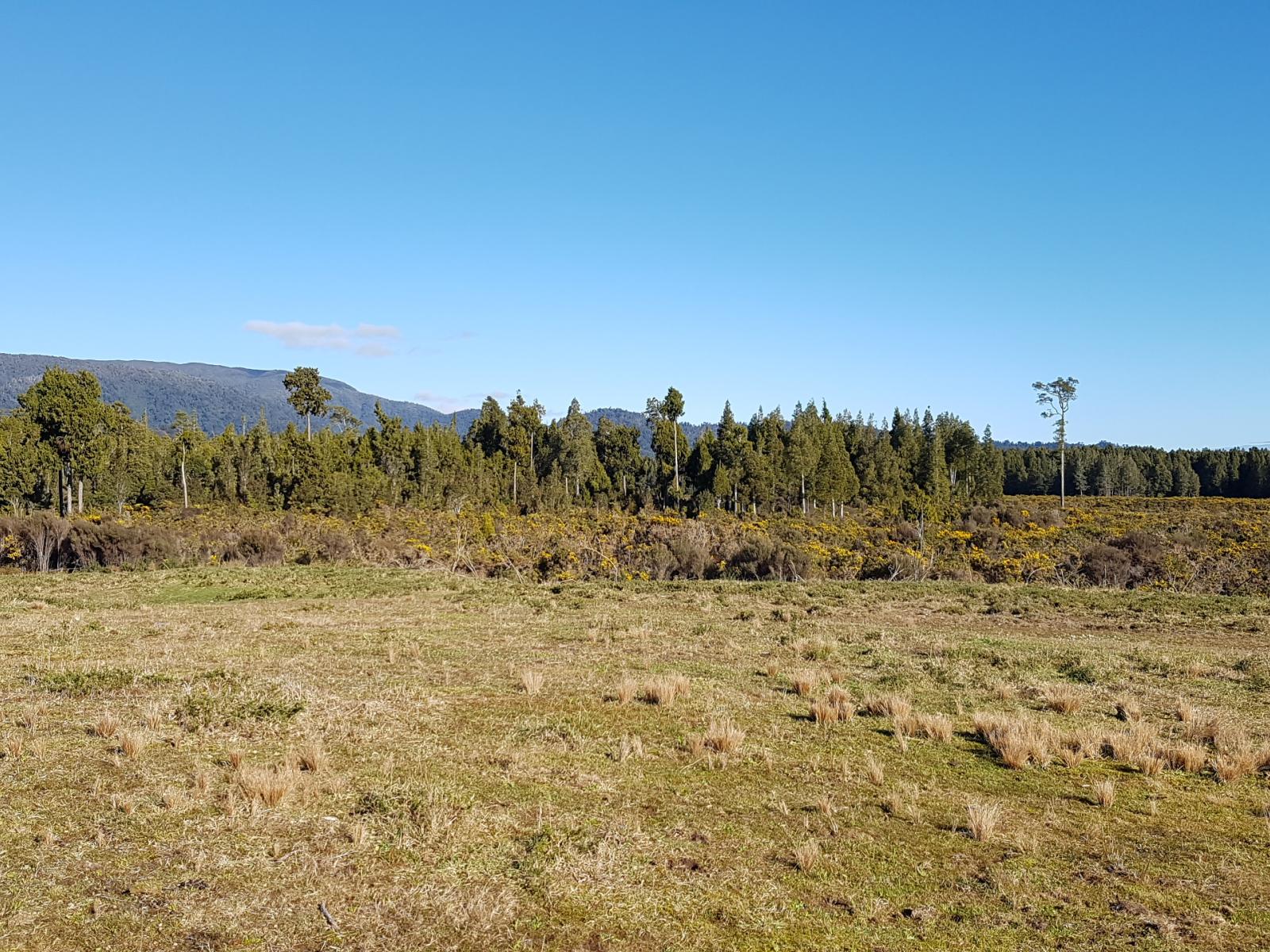 1110 Ruatapu Ross Road, Ross