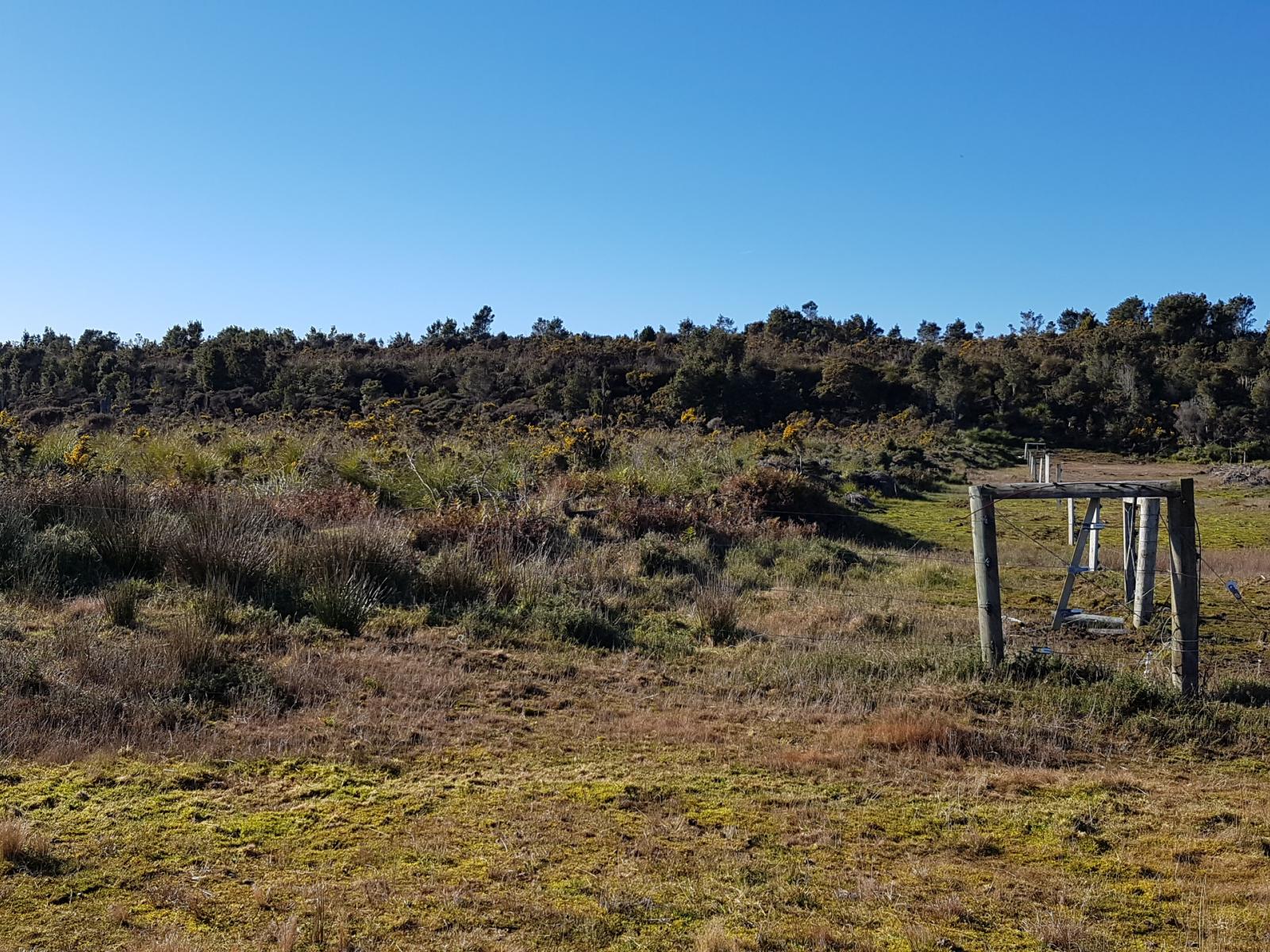 1110 Ruatapu Ross Road, Ross